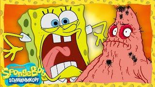 SpongeBob  Jede Folge aus Staffel 11 in 35 Stunden  SpongeBob Schwammkopf