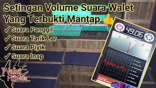 Cara seting volume suara walet yang terbukti cepat menginapkan burung walet