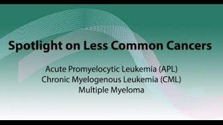 Spotlight on APL CML and multiple myeloma