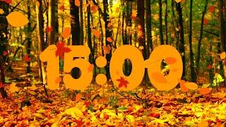 15 Minute Beautiful Fall Leaves Countdown  