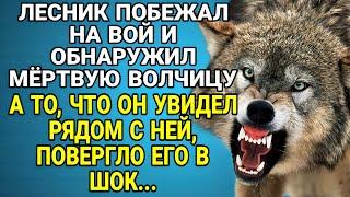 Лесник обнаружил мертвую волчицу а то что было рядом с ней повергло его в шок...