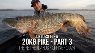 MONSTER ALERT - Our Quest for a 20KG Pike - ALL-IN on BIG Baits- Part 3