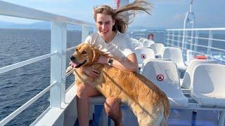 Taking My Golden Retriever on a Boat Trip For The First Time