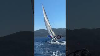 Open Sailing Week 2024 #яхтинг #школакапитанов #яхтеннаяшкола