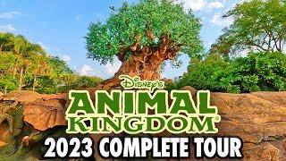 Disneys Animal Kingdom 2023 - Walkthrough & Rides at Walt Disney World 4K