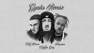 Capella Grey feat. Chris Brown & Popcaan - Gyalis REMIX