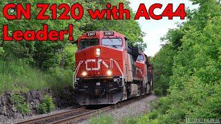 CN AC44C6M 3307 Leads Z120 Through Shore Drive Level Crossing Bedford NS.