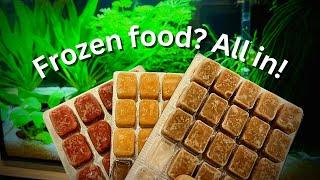 Beginners guide How to feed frozen fish food to your fish?