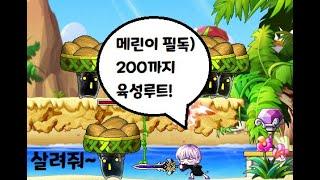 테라버닝대비 보스돌이용 200육성루트