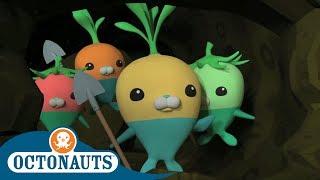 Octonauts - The Vegimals Save the Day  Full Episodes  Cartoons for Kids