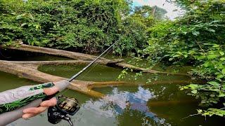 Pescando y Explorando Río en la Jungla de Nicaragua