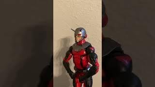 Ant Man Action Figure Collection #marvellegends #hottoyscollector