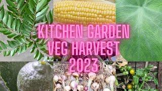 Kitchen garden veg harvest 2023