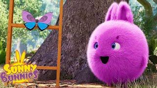 Special Butterfly  Sunny Bunnies  Cartoons for Kids  WildBrain Blast