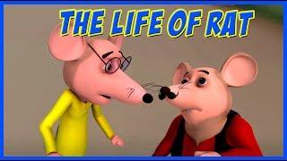 Motu Patlu  The Life Of Rat  Motu Patlu in Hindi