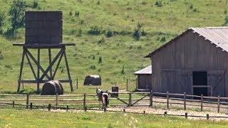 Walking to RAMBO 5 Last Blood Filming Location - Rambos House and Horse Ranch