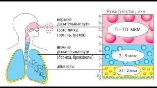 Фостер ингалятор для лечения и контроля бронхиальной астмы