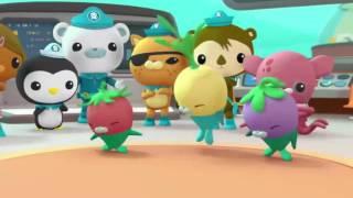 Octonauts  Creature Report Compilation   Series 2 HD