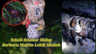 BERBURU AYAM HUTAN SAWIT Part 41  Lebih Mudah Malam