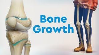 Bone Growth and Limb Deformities