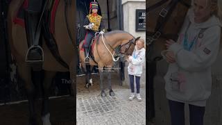 Watch Royal Horse Meet Youngsters Tourists and this Happen