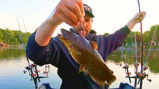 Catch Giant Flathead Catfish With This Easy Technique