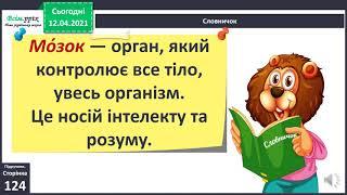 Урок ЯДС 3 клас Яку роботу здійснює нервова система?