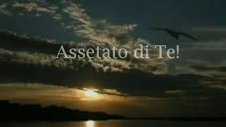 Zigani - assetato di Te