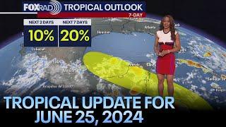 Tropical Update Tropical storm has low chance of developing in Gulf of Mexico