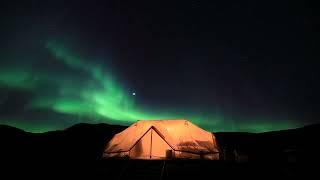 Greenland 4K NORTHERN LIGHTS Timelapse 2022