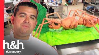 Buddy cria um bolo de formiga gigante para museu de ciências naturais  Cake Boss  H&H Brasil