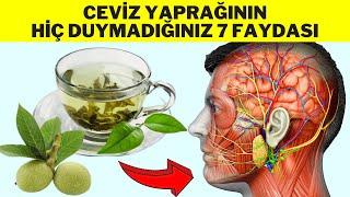 CEVİZ YAPRAĞININ ŞAŞIRTICI 7 FAYDASI - Ceviz Yaprağı Çayı Nasıl Yapılır - Ceviz Yaprağının Faydaları