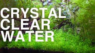 How to keep your Fish Tank water CRYSTAL CLEAR  One Minute Fish Tank