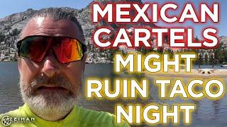 The Mexican Cartels Are Double-Dipping in the Guacamole  Peter Zeihan