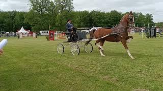 Concours Hippique Bennekom