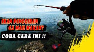 Tips mancing casting di pinggir laut  mengelabui ikan yang tidak mau menyambar umpan