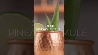 Recipe Inspiration Spiced Pineapple Mule