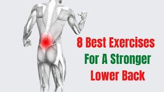8 Best Exercises for Stronger Lower Back  How to Fix Low Back Pain