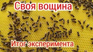 Своя вощина. Стоит ли заморачиваться?