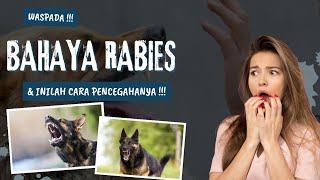 FAKTA DAN CIRI-CIRI HEWAN TERKENA RABIES WAJIB TAU