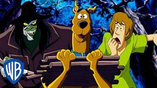 Scooby-Doo  Lost in the Woods ️  WB Kids