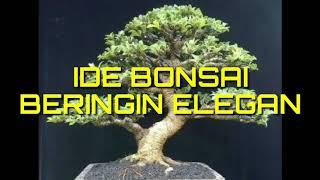 Ide Bonsai Beringin Elegan