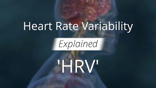 Heart Rate Variability HRV Explained for Health and Decision-Making