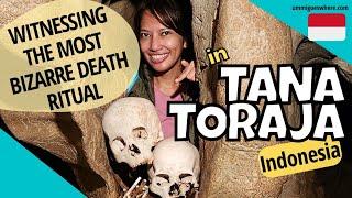 4-Day Itinerary in TANA TORAJA South Sulawesi Indonesia - Witnessing Torajan Death Ritual & Graves