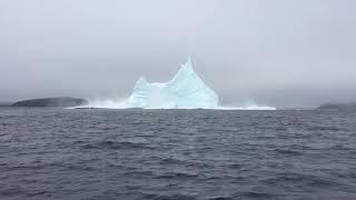 INCREDIBLE FOOTAGE  ICEBERG BREAKING APART   TWILLINGATE NEWFOUNDLAND