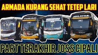 TRIP REPORT JOSS CIPALI TANPA PERLAWANAN PO. HARYANTO 34 PART AKHIR