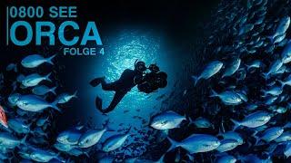 0800 SEE ORCA - Inmitten des Superpods  Folge 4