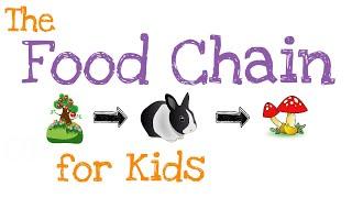 The Food Chain for Kids