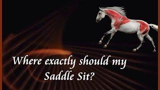 Where Exactly Should My Saddle Sit? by Saddlefit 4 Life®