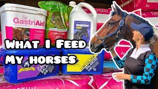 WHAT I FEED MY HORSES